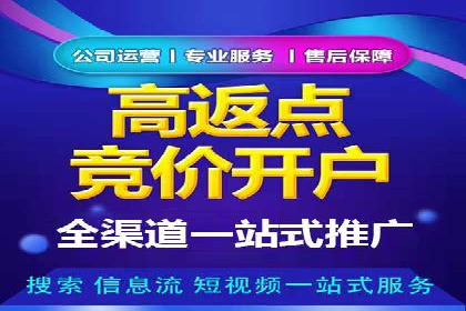 网络推广竞价策略解析与应用案例